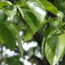 남해풍경 이미지