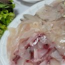 푸른용궁회 이미지