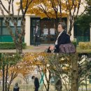 눈이부시게 - 군포시 | 눈이부시게