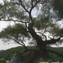 남구미로 이미지