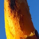 박상희 농장 이미지