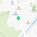 대전고양이분양 비비냥 이미지