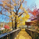 산주마을회관 이미지