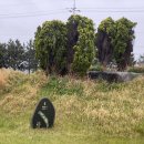 에스앤골프리조트 이미지