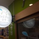 가양쿨펫동물병원 이미지