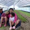 공룡(마트) 이미지