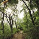 버스정류장 05-070 이미지