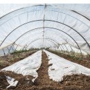 일우농장 이미지