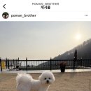 개성있냥 이미지