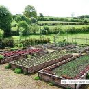 가든키친(Garden Kitchen) 이미지