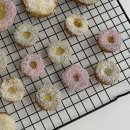 댕브레드 이미지