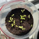 승승농장 이미지