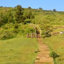 달리오름 이미지