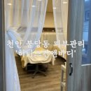 [천안] 천안 불당동 피부관리 &#39;허니스킨앤바디&#39; 플라즈마 후기