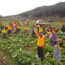 뽑기사랑 이미지