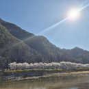 자라목공원 이미지