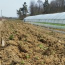 북두농장 이미지