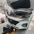 여시카센타 이미지