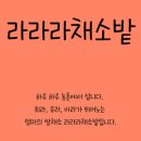라라라스토어