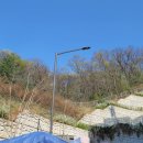 행운대장공인중개사사무소 이미지