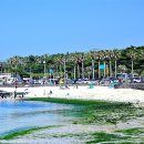 해변풍경 이미지