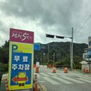 봉양7길 | 강원도 정선 오일장 먹거리 총정리! 산채비빔밥·비빔메밀국수·모듬전 솔직후기
