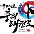국가대표 충의 태권도장 이미지