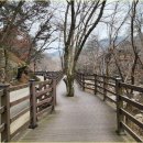 깊은 치유 | 시나브로 치유길 체험 후기 – 깊은 호흡과 함께한 치유의 시간