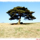 남양목장 이미지