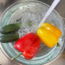 6월 일상 | 성심당 말차튀소, 커플사진, 블루엘리펀트, 베타 어항까지 알찼던 한 달 기록🌿