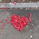 옥포대첩기념공원 이미지