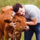 안기농장 이미지