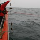 화이트하우스(솔비치) 이미지