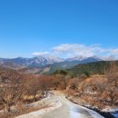 원촌교차로 | [구례의 길] 스탬프 투어, 지리산 둘레길 첫째 날, 예술인의 마을, 산동면 사무소, 산동 밤재, 산수유...