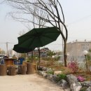 진전농협 하나로마트 이미지