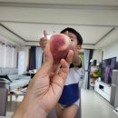 동우농장 이미지