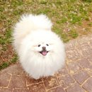 개편하개 이미지