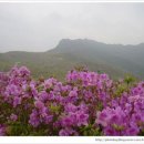 철쭉의 향연 황매산 포토산행 070506 이미지