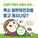 스텔라바디핏 이미지