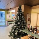 도리4천 | 한남동 브런치 맛집 발렛되고 엄청 넓은 닥터로빈 한남점 내돈내산 솔직후기