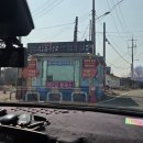 할리우드 펜션 | 제부도 할리우드 펜션, 애견동반 다녀온 내돈내산 후기