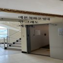파티게스트하우스