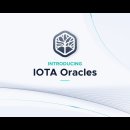 아이오타 IOTA (MIOTA) 이미지