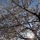 아산충무병원 사거리 이미지