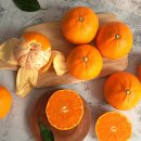 더조은농장 이미지