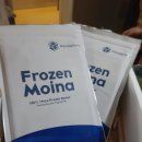 아쿠아갤러리의 Frozen Monia(물벼룩)생먹이 후기 입니다^.^ 이미지