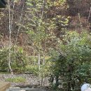 으지네민박 이미지