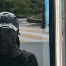 뽑아부러 이미지