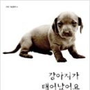 현대 강아지＆고양이 이미지