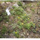 정두채 | [해남여행] e-비즈니즈 벤치마킹 1부 - 은향다원 방문 / 장훈복합영농